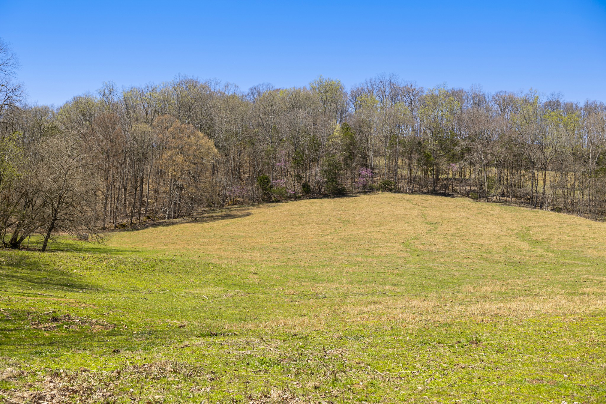 30 King Hollow Road Frankewing, TN 38459 - Photo 33 of 49 a view of ocean