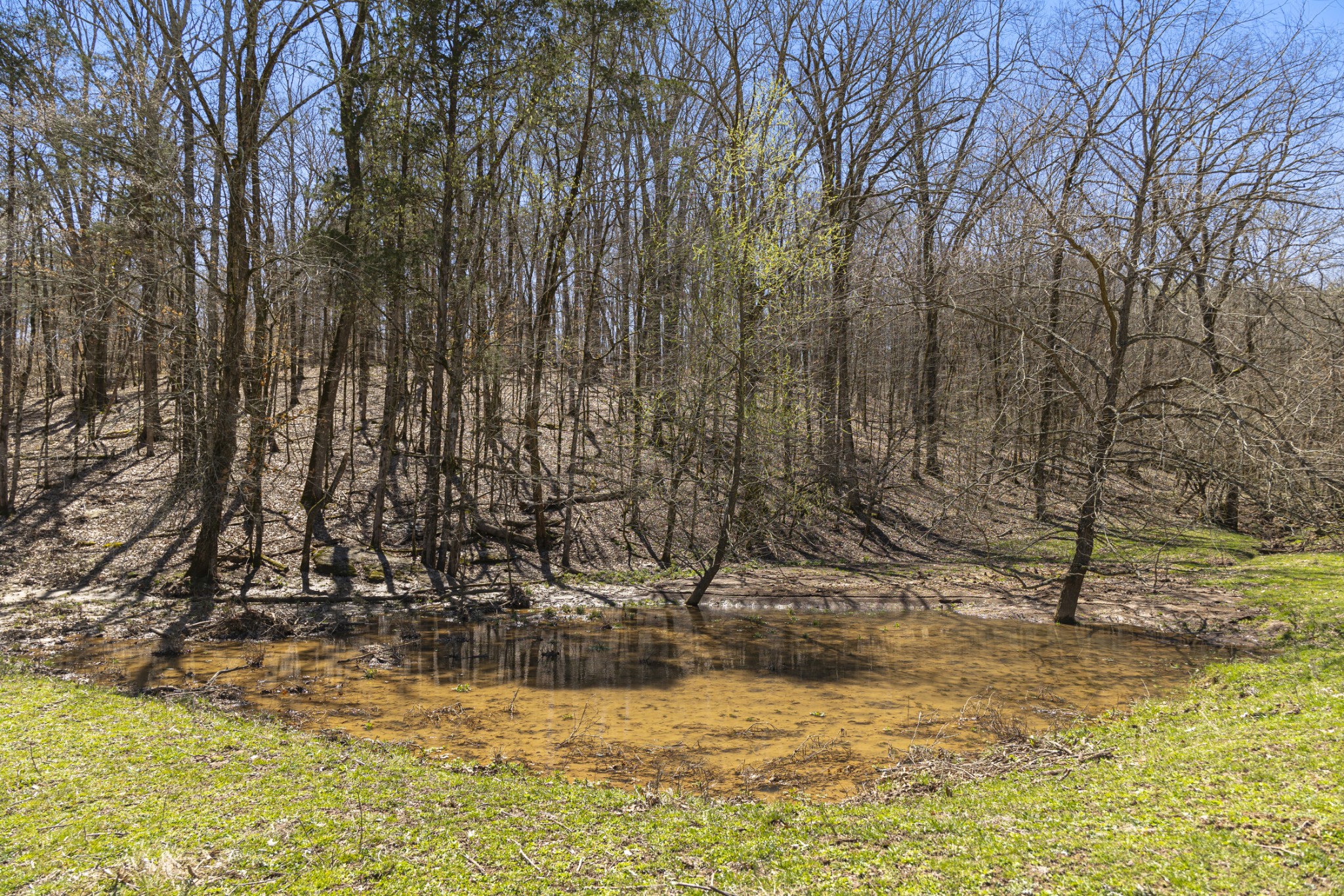 30 King Hollow Road Frankewing, TN 38459 - Photo 34 of 49