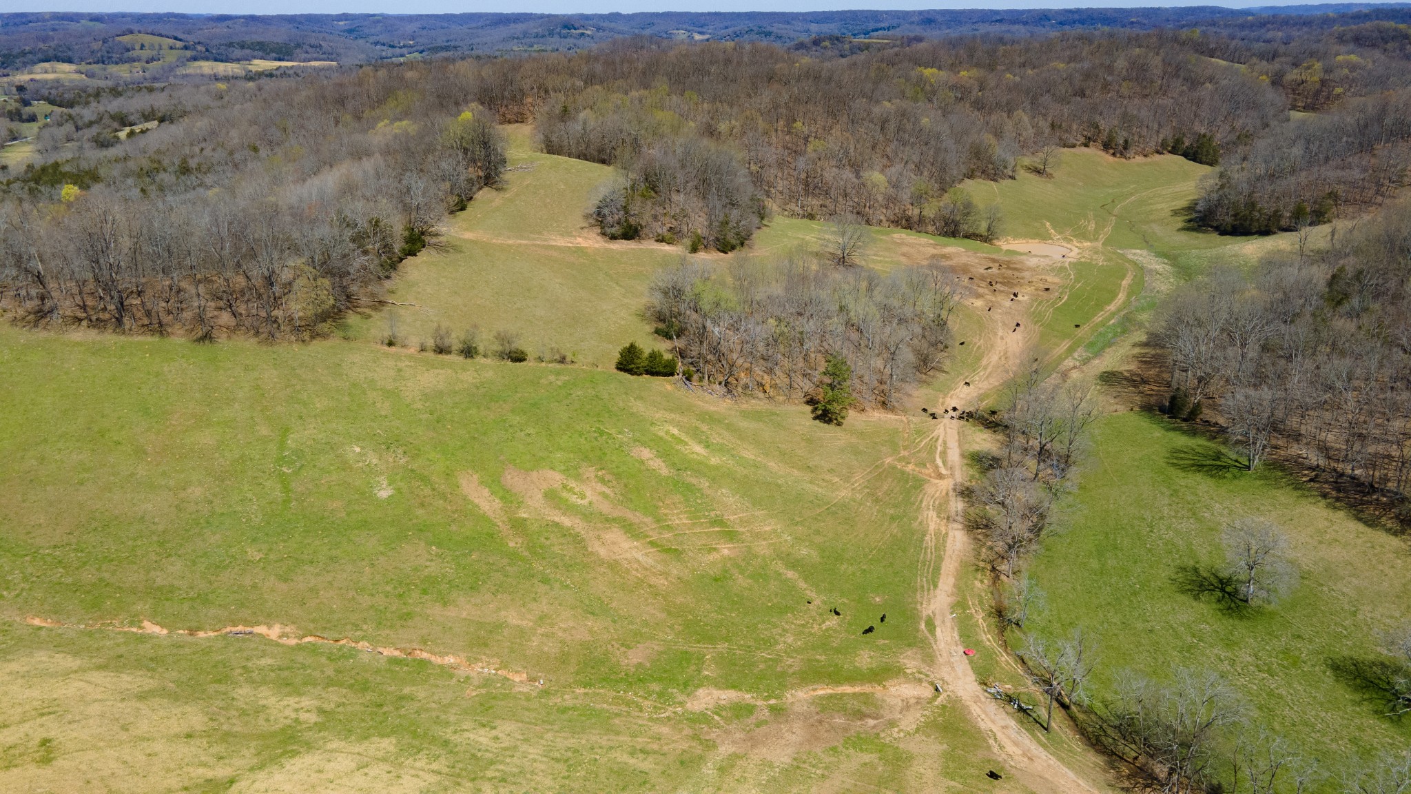 30 King Hollow Road Frankewing, TN 38459 - Photo 42 of 49 a view of lake