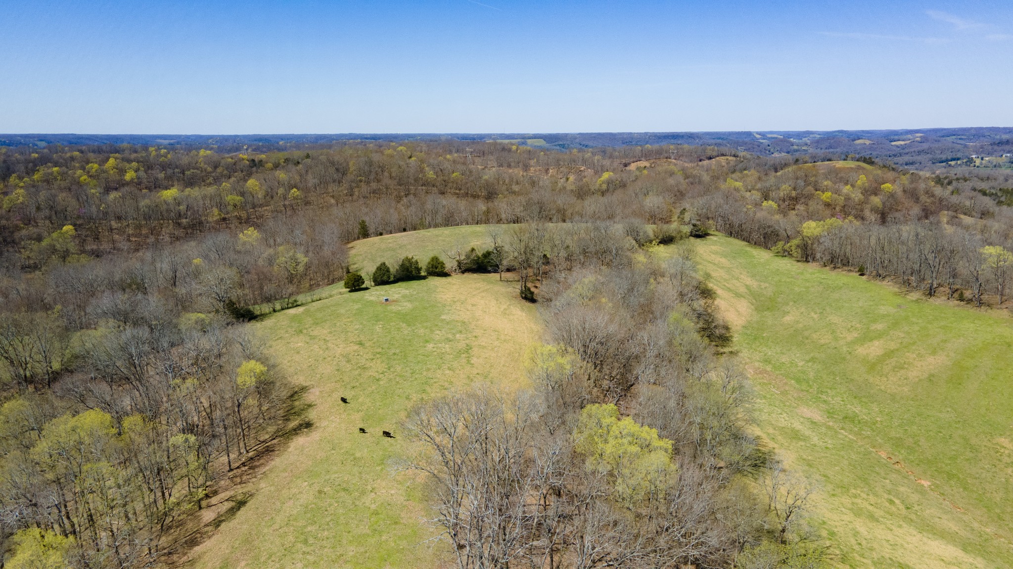 30 King Hollow Road Frankewing, TN 38459 - Photo 43 of 49 a view of an outdoor space and mountain view