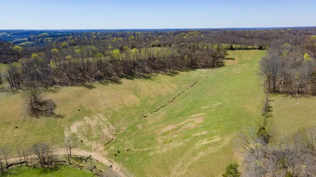a view of a backyard of the house