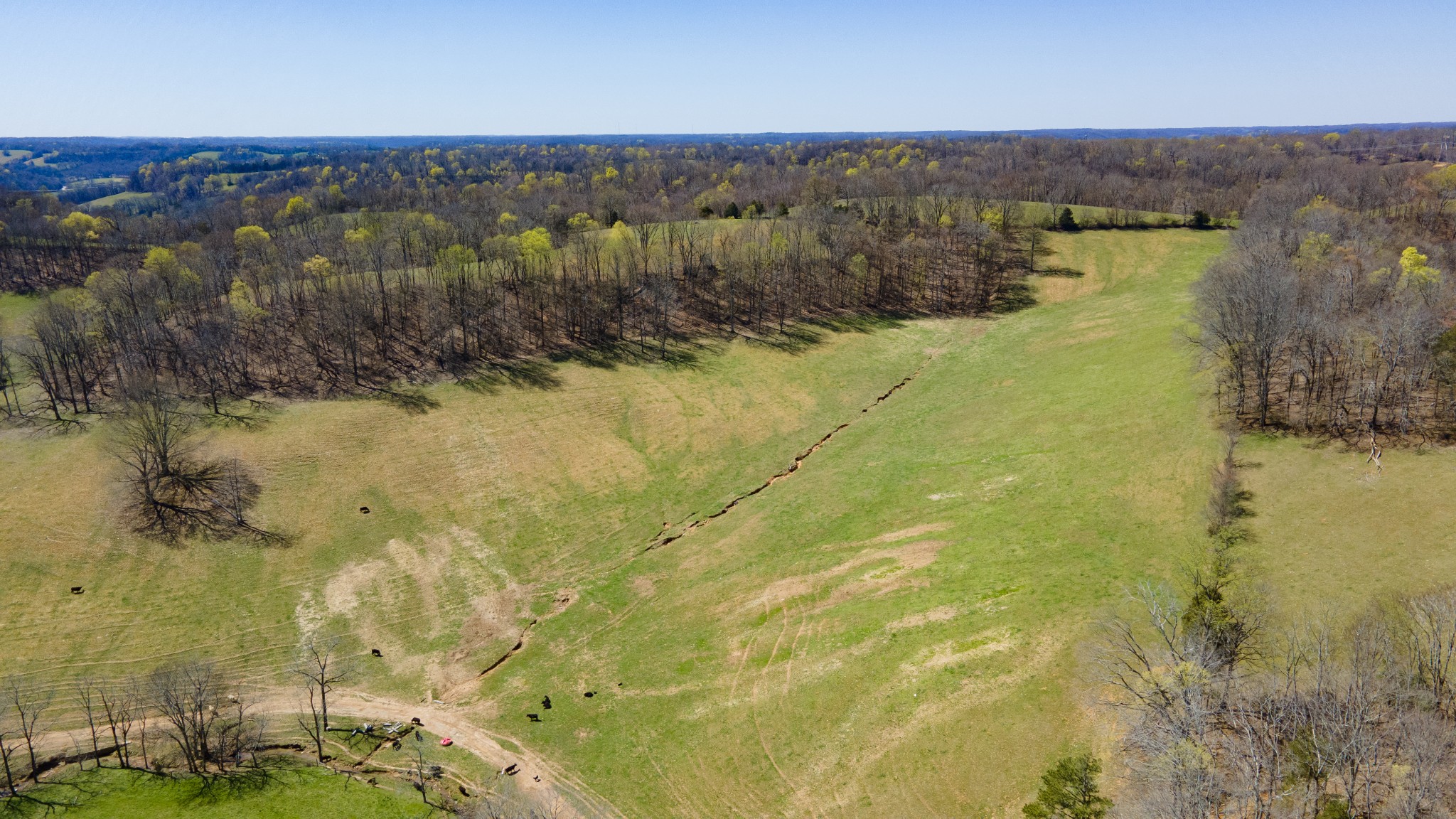 30 King Hollow Road Frankewing, TN 38459 - Photo 45 of 49 an aerial view of residential houses with outdoor space
