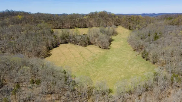 a view of a bunch of trees and houses
