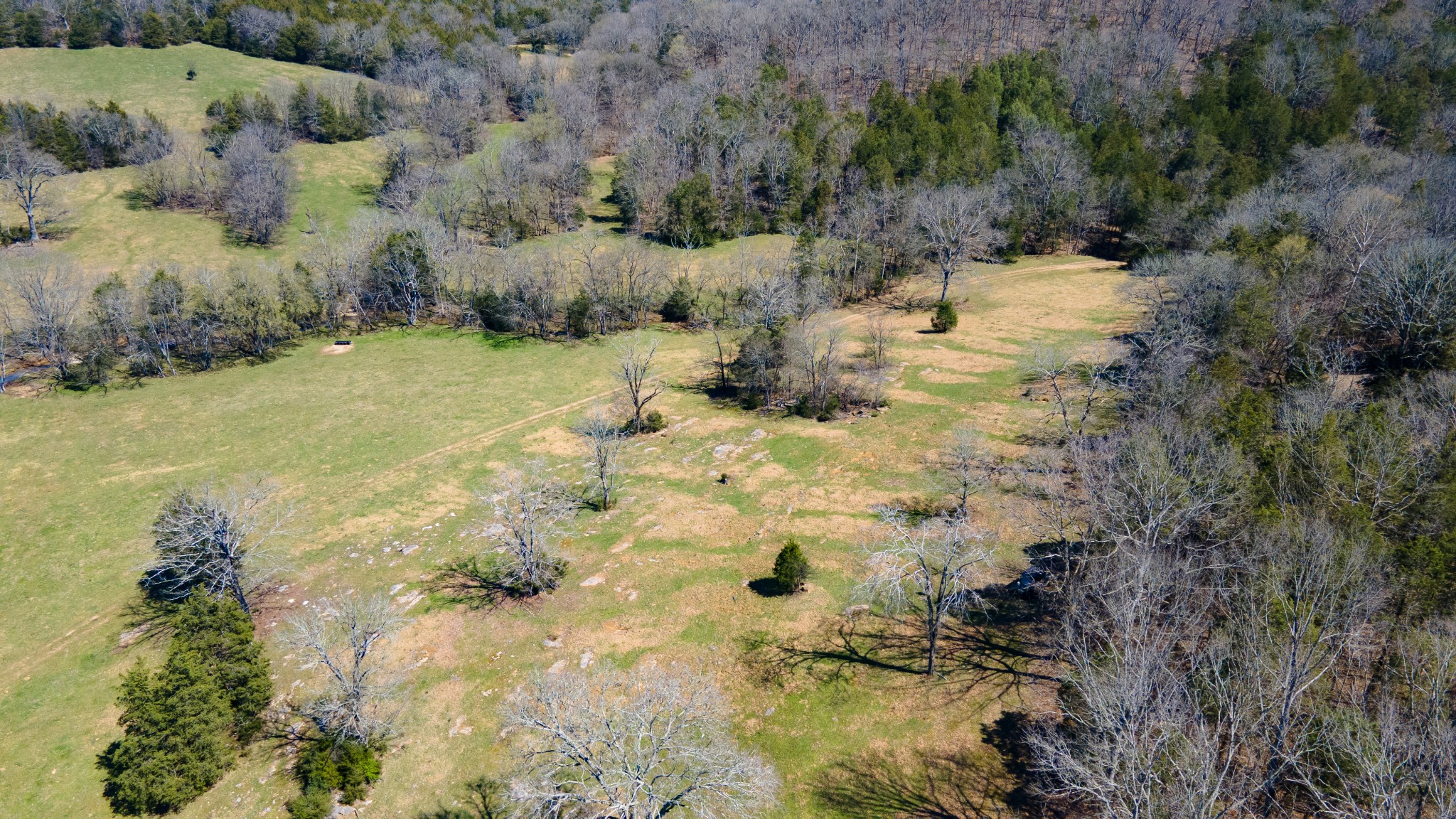 30 King Hollow Road Frankewing, TN 38459 - Photo 49 of 49 a view of a yard covered with trees