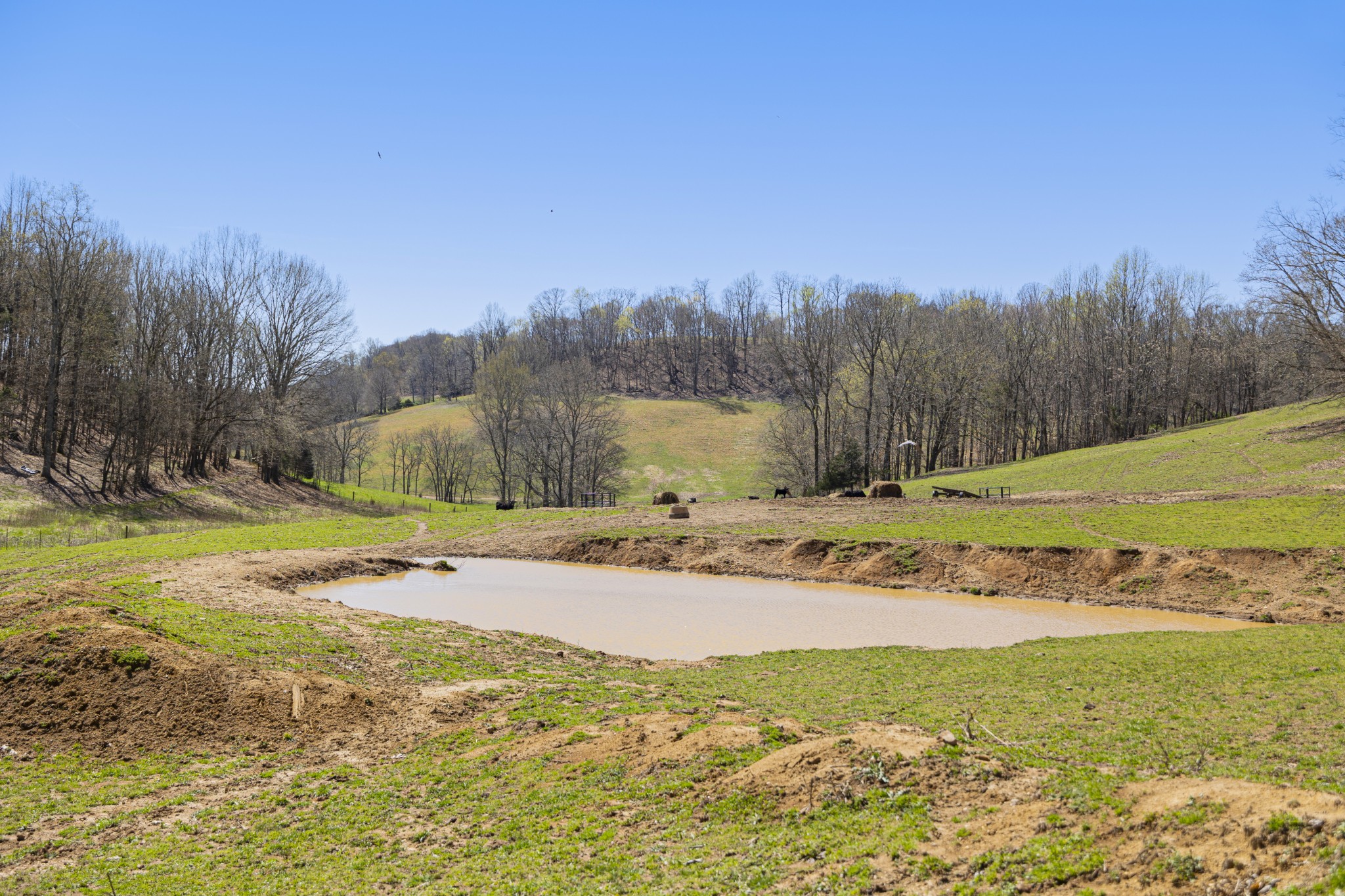 30 King Hollow Road Frankewing, TN 38459 - Photo 6 of 49 a view of a yard with an outdoor space