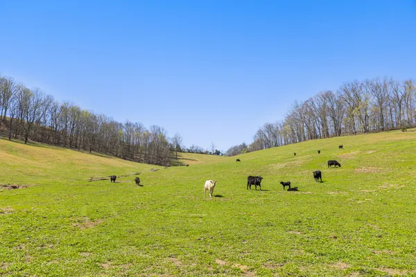 a view of a large swimming pool with an outdoor space and seating area