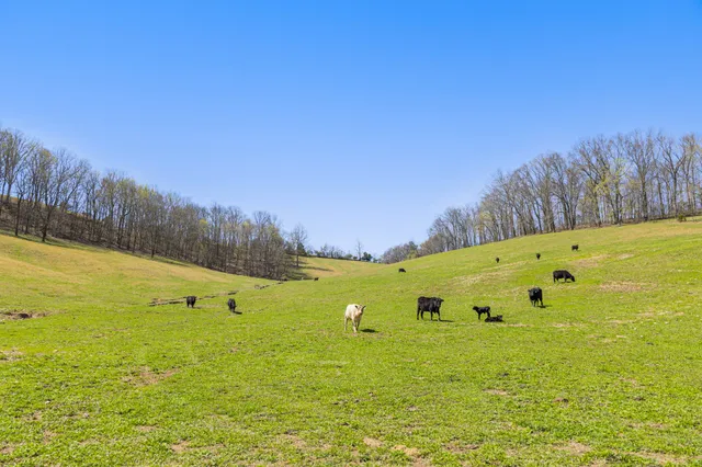 a view of a large swimming pool with an outdoor space and seating area