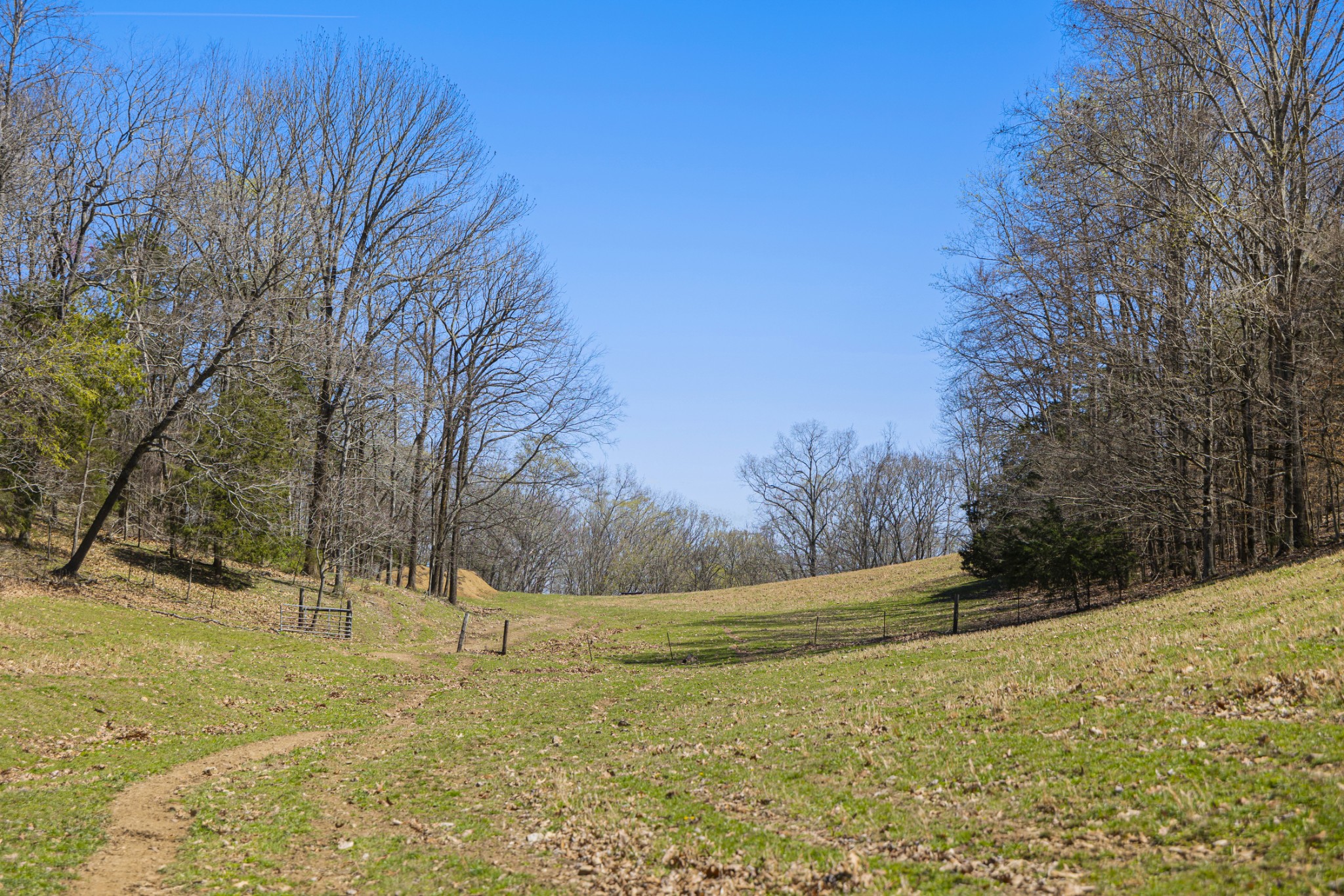 30 King Hollow Road Frankewing, TN 38459 - Photo 9 of 49 a view of open space with green field