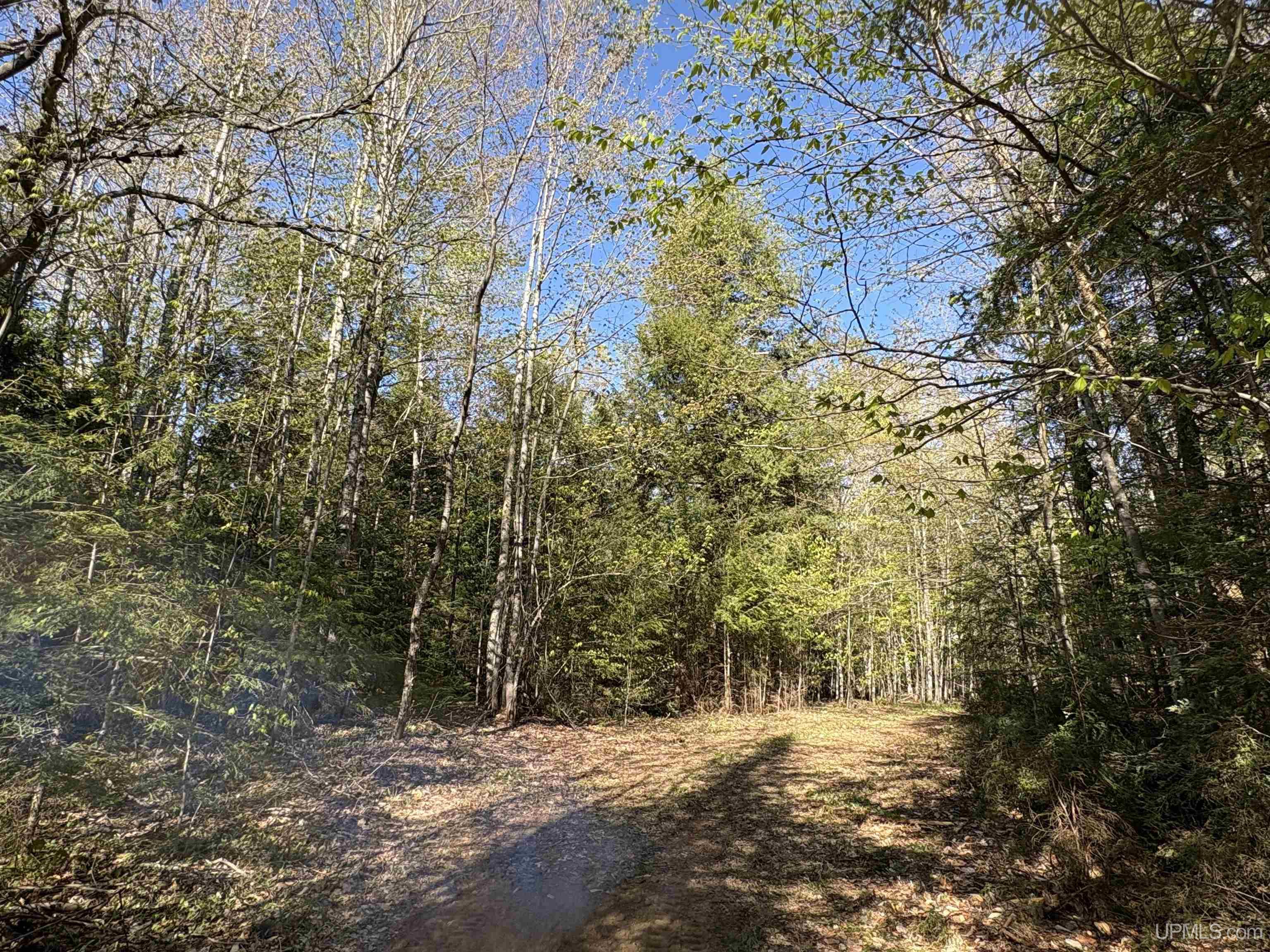 94-acres Peter White Road Deerton, MI 49822 - Photo 13 of 24