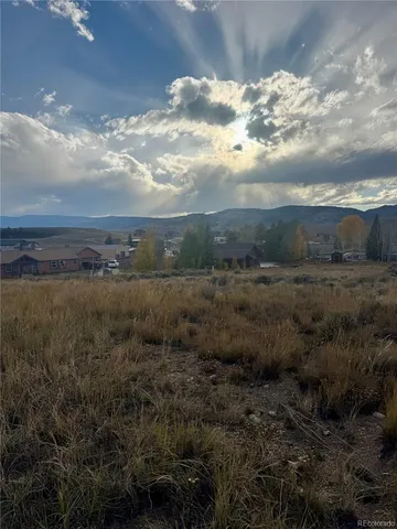 a view of a bunch of trees in a field