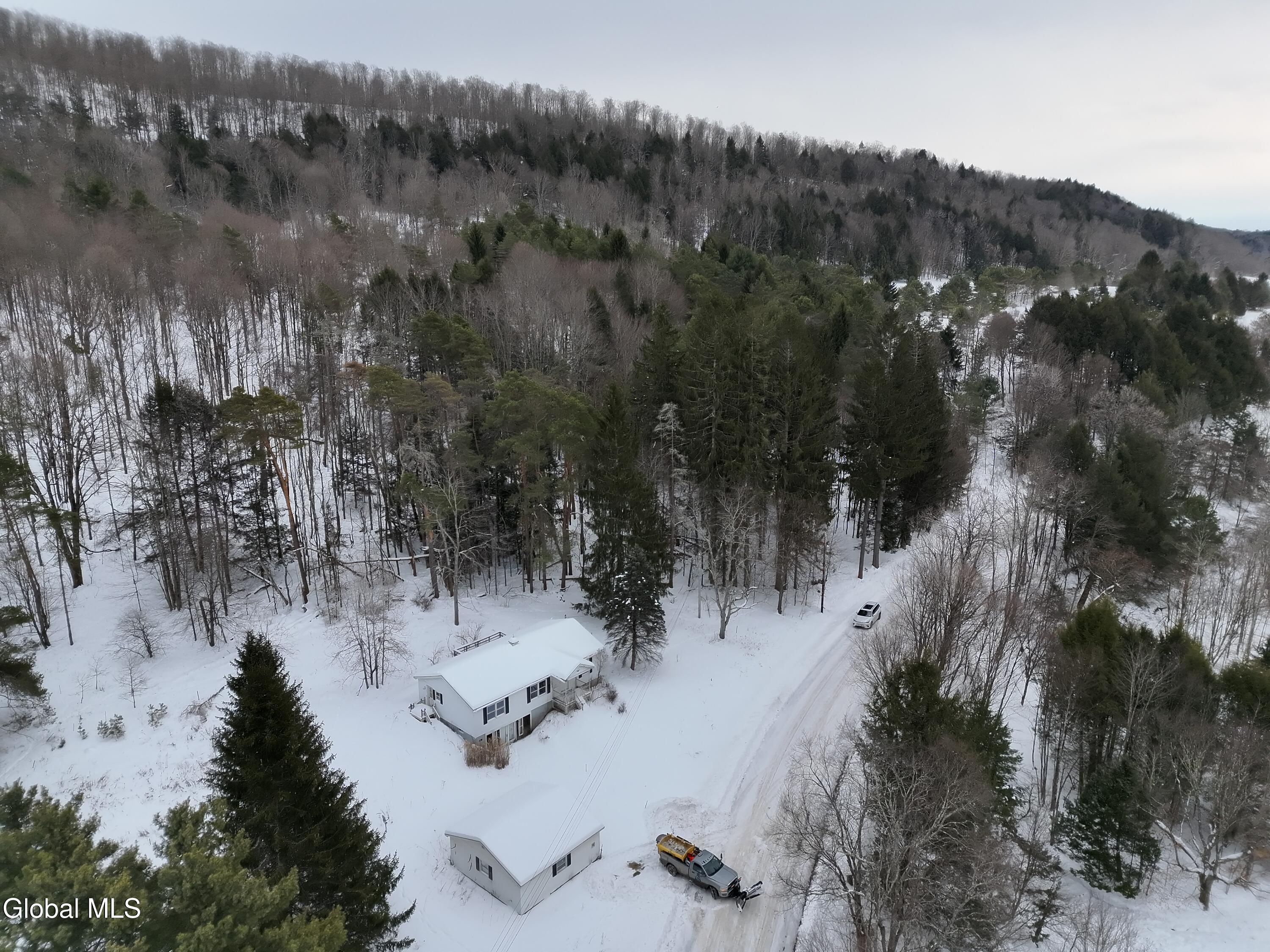 166 Backus Road Mount Vision, NY 13810 - Photo 12 of 18 org_884f9fd026c46eb0_1770753916000
