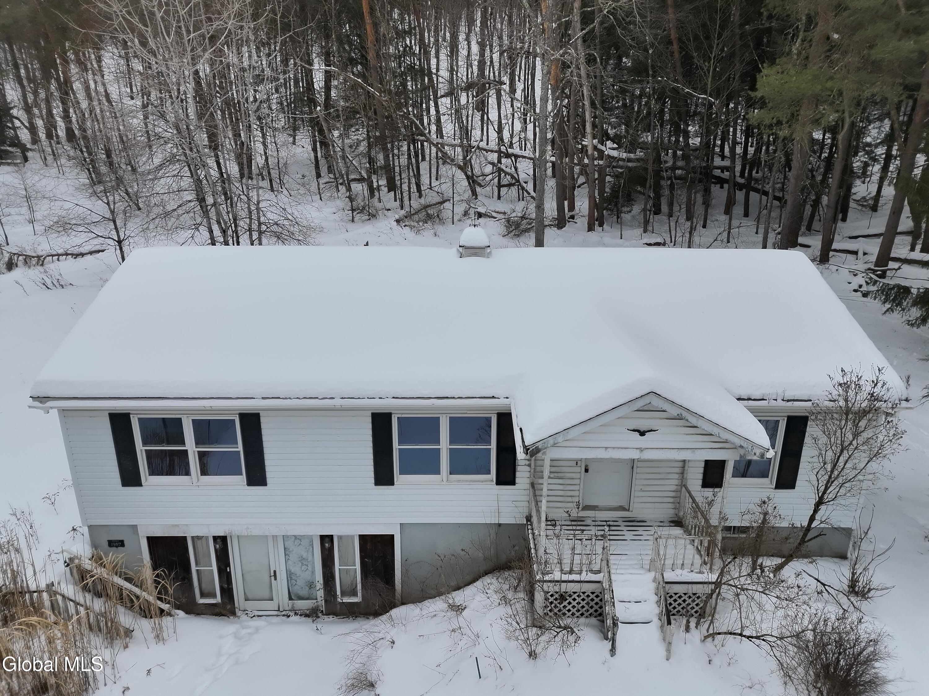 166 Backus Road Mount Vision, NY 13810 - Photo 3 of 18 org_46128dd219ed1294_1770753636000