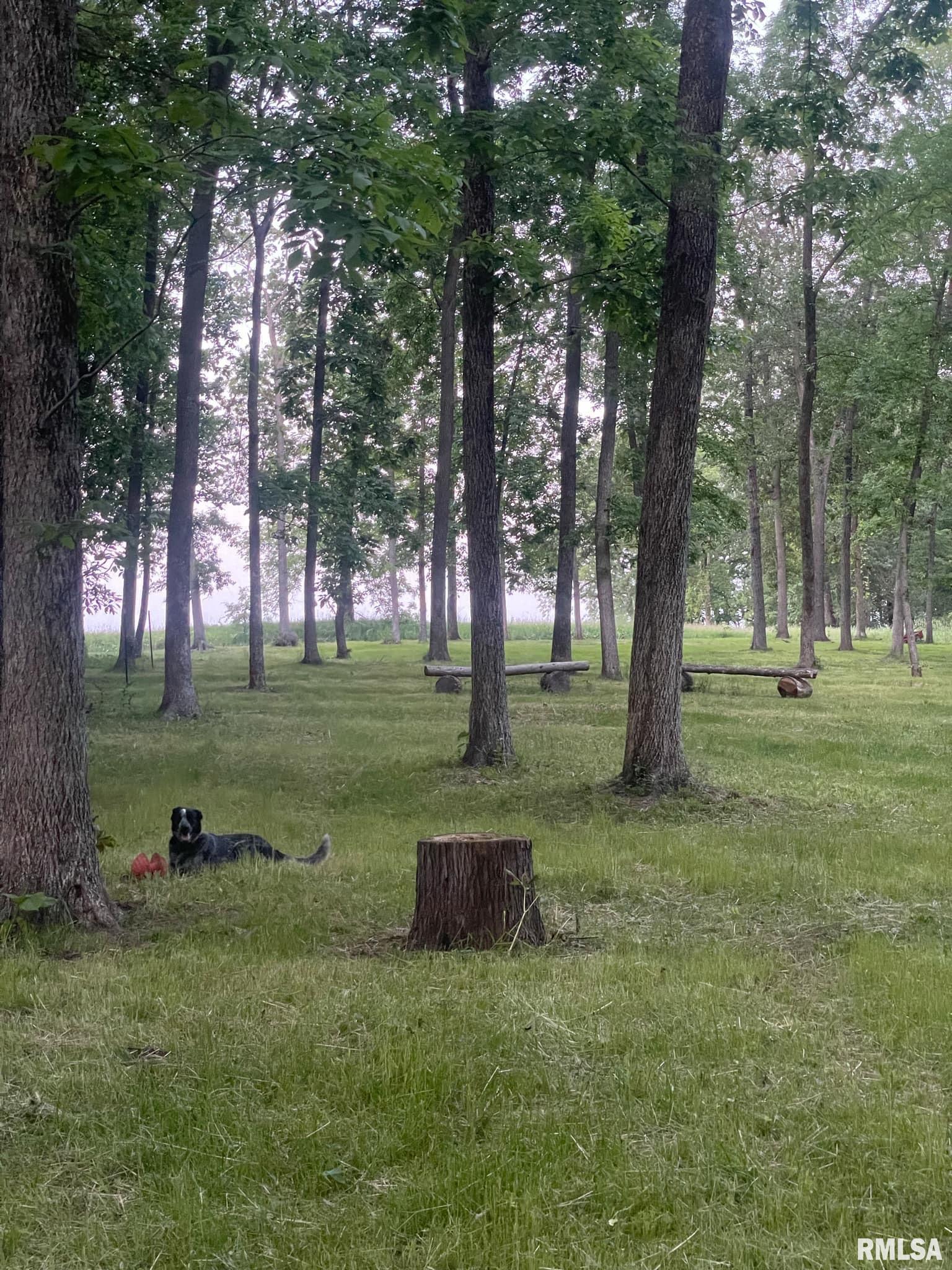 723 2100E Liberty, IL 62347 - Photo 28 of 31