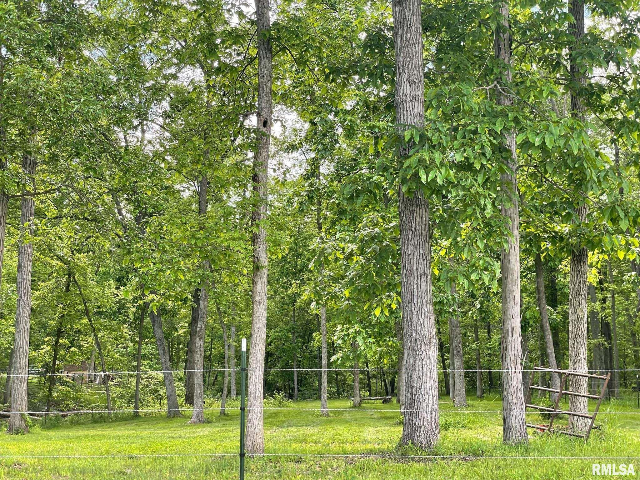 723 2100E Liberty, IL 62347 - Photo 29 of 31