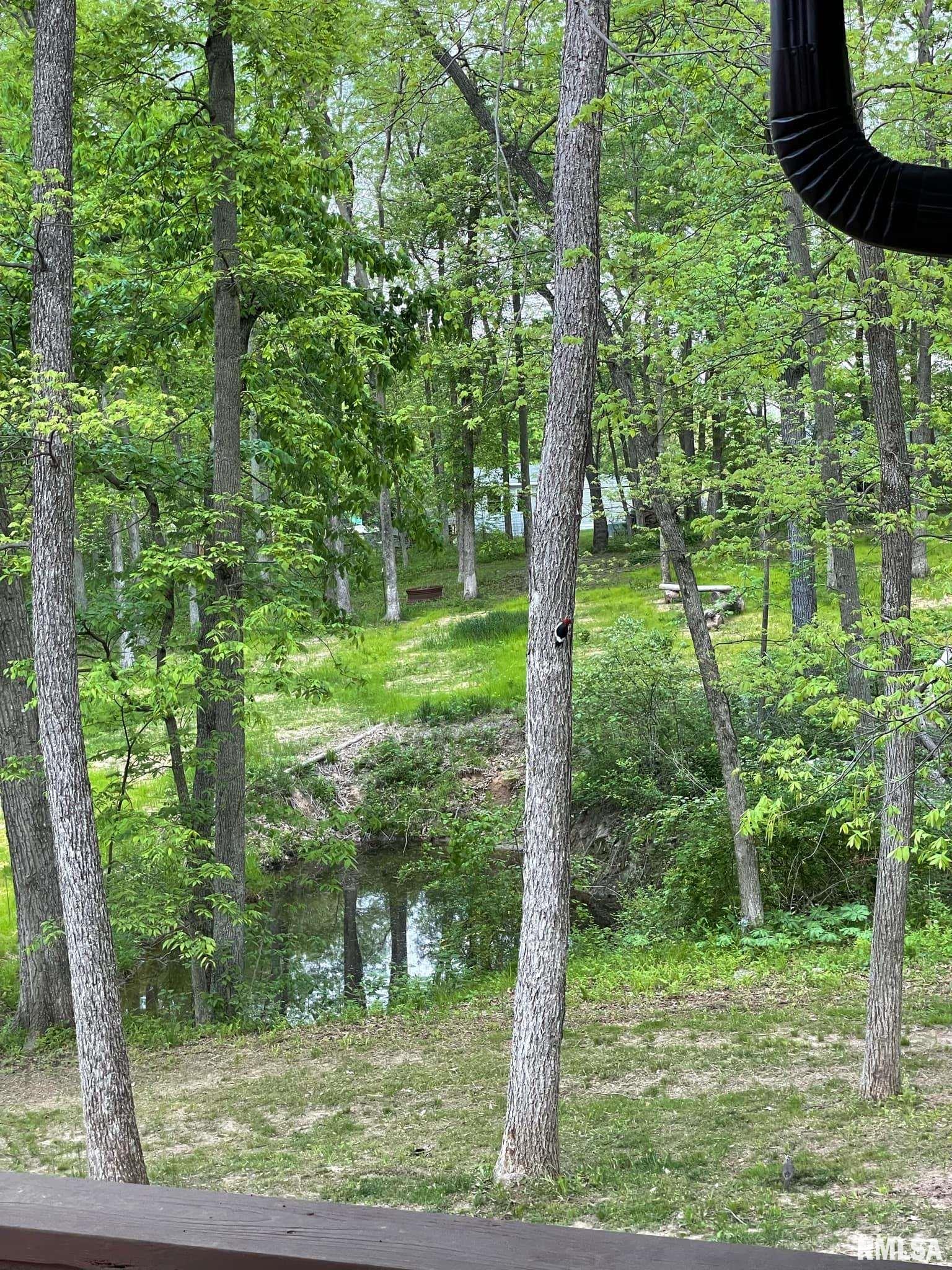 723 2100E Liberty, IL 62347 - Photo 30 of 31