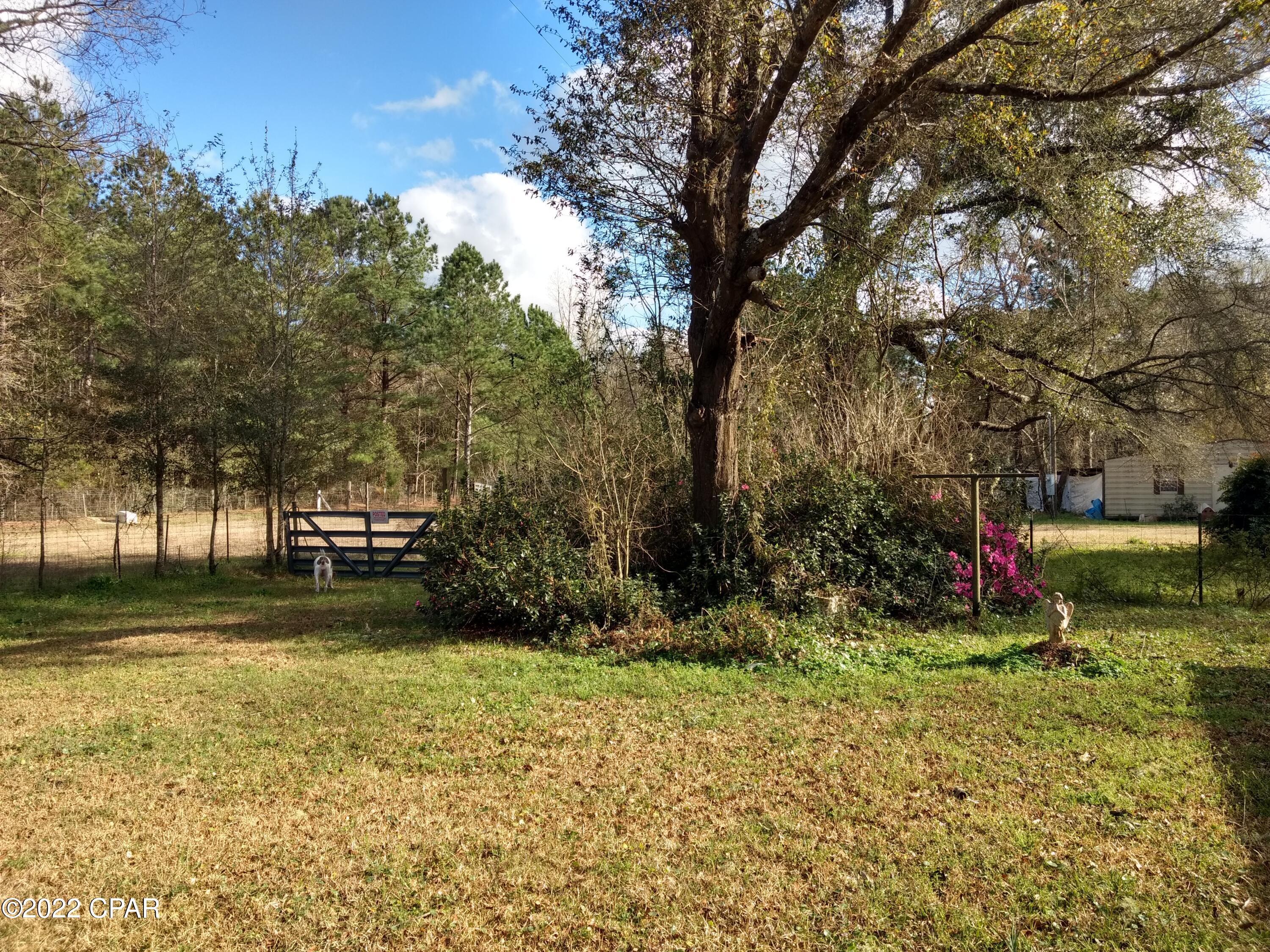 2972 Coon Bottom Road Ponce de Leon, FL 32455 - Photo 8 of 39 Gallery Image 8