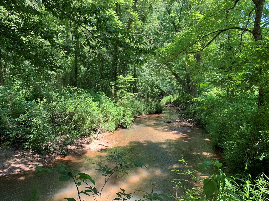 250 Cobb Bridge Road Westminster, SC 29693 - Photo 10 of 14 Gallery Image 10