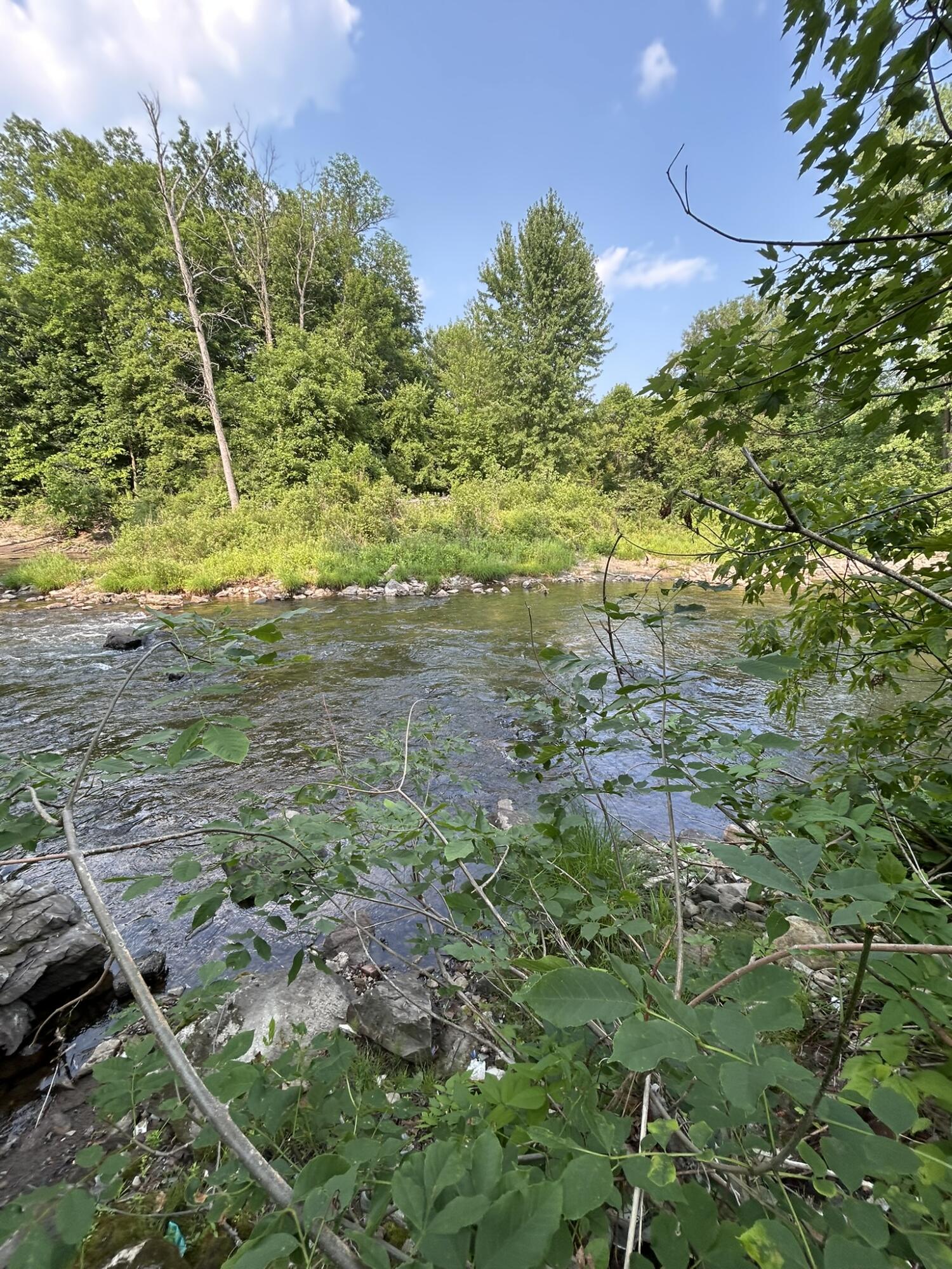 571 Cook Road Essex, NY 12936 - Photo 2 of 4 Riverview