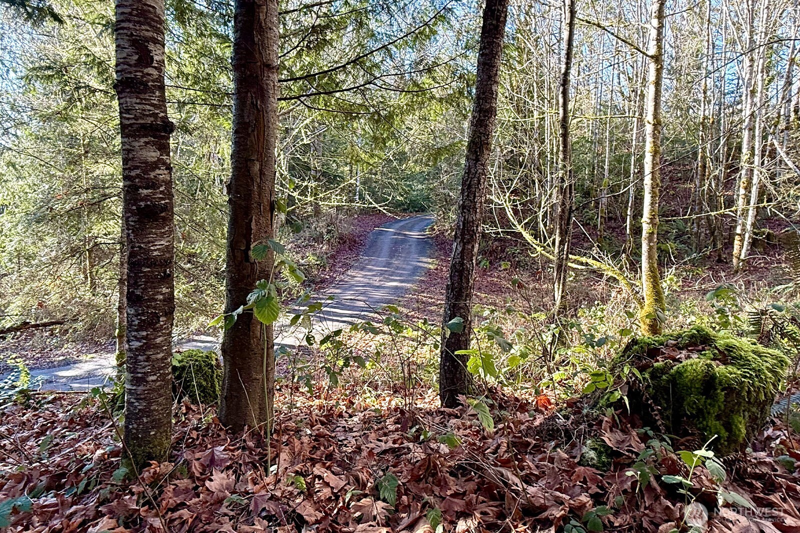 12280 Center Road Quilcene, WA 98376 - Photo 28 of 38
