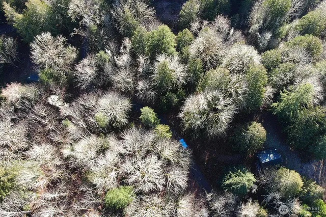 a view of a town with mountains in the background