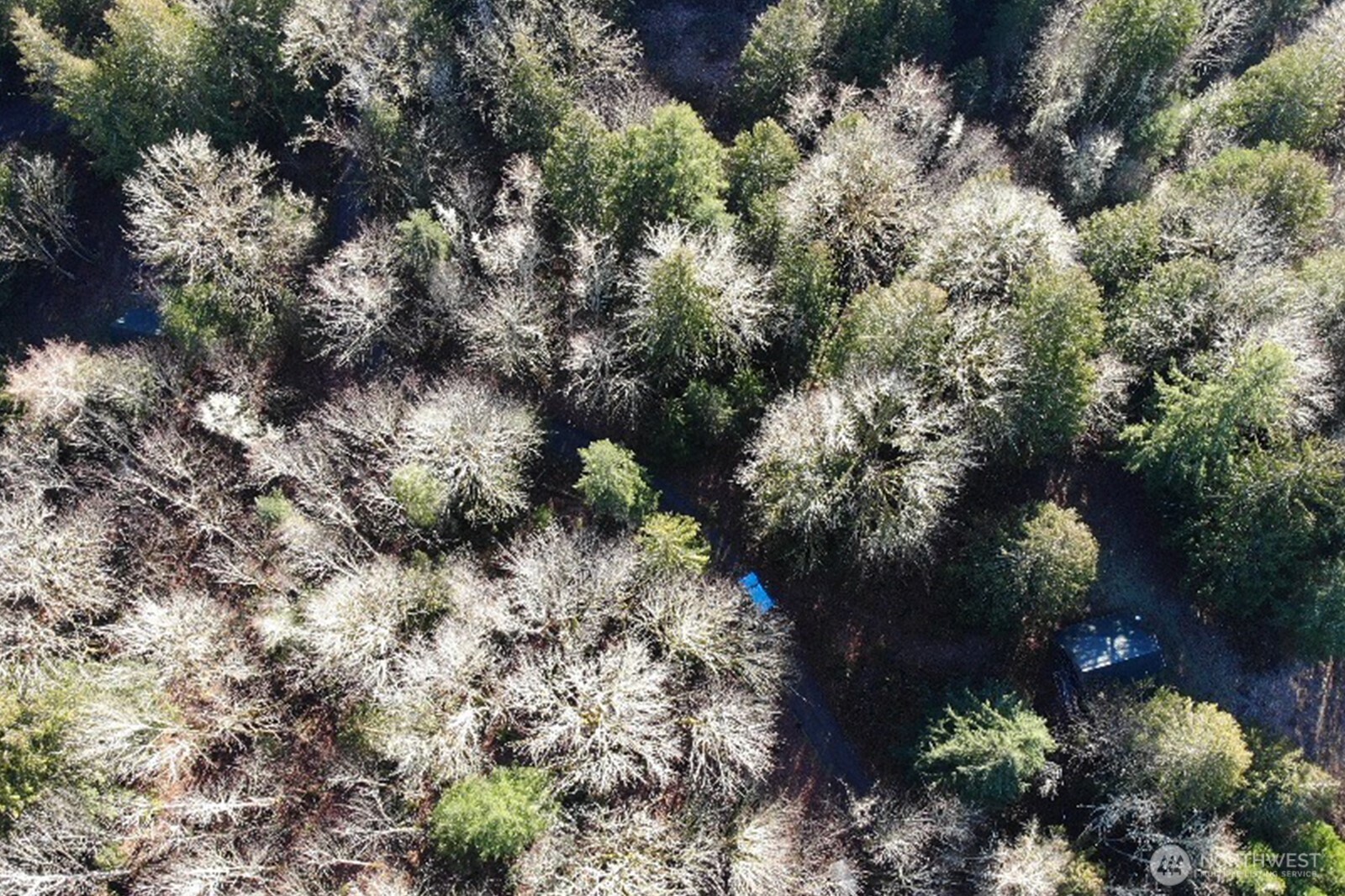 12280 Center Road Quilcene, WA 98376 - Photo 31 of 38