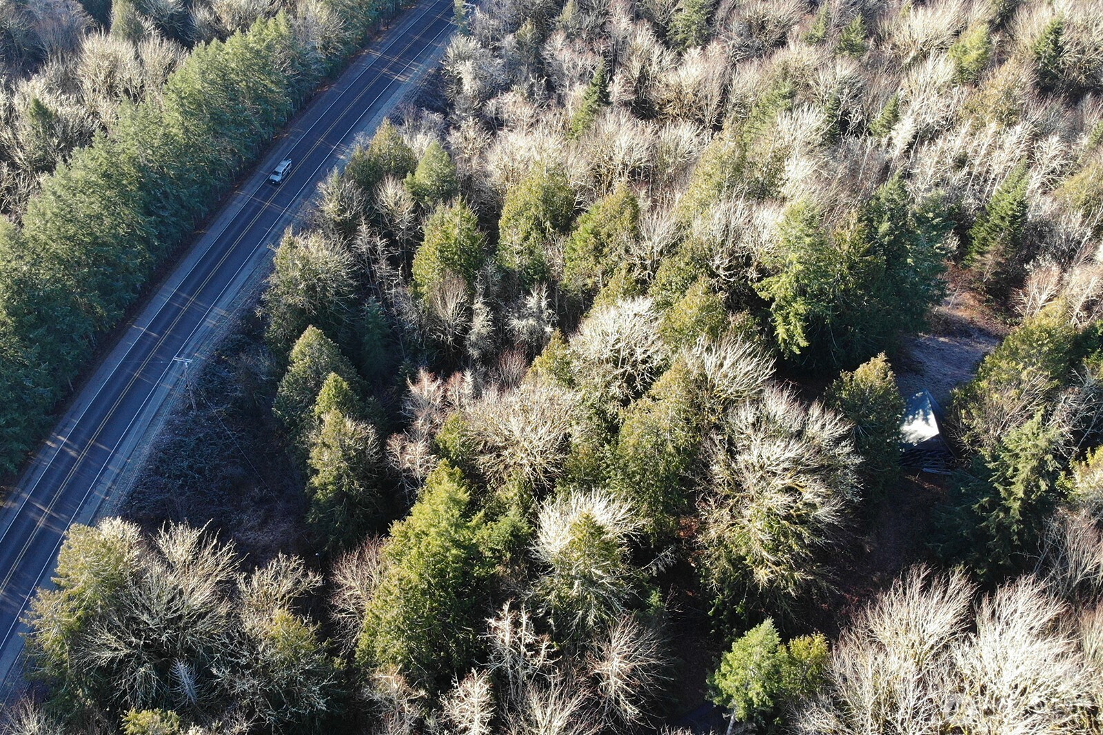 12280 Center Road Quilcene, WA 98376 - Photo 32 of 38