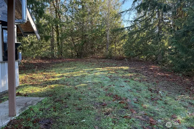 a view of a yard with a tree