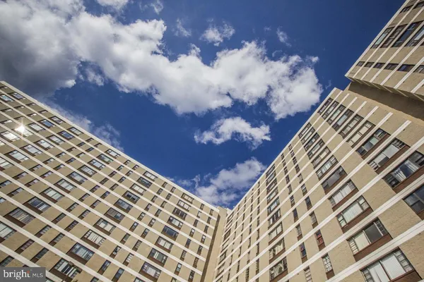 a view of a garden with plants and large trees
