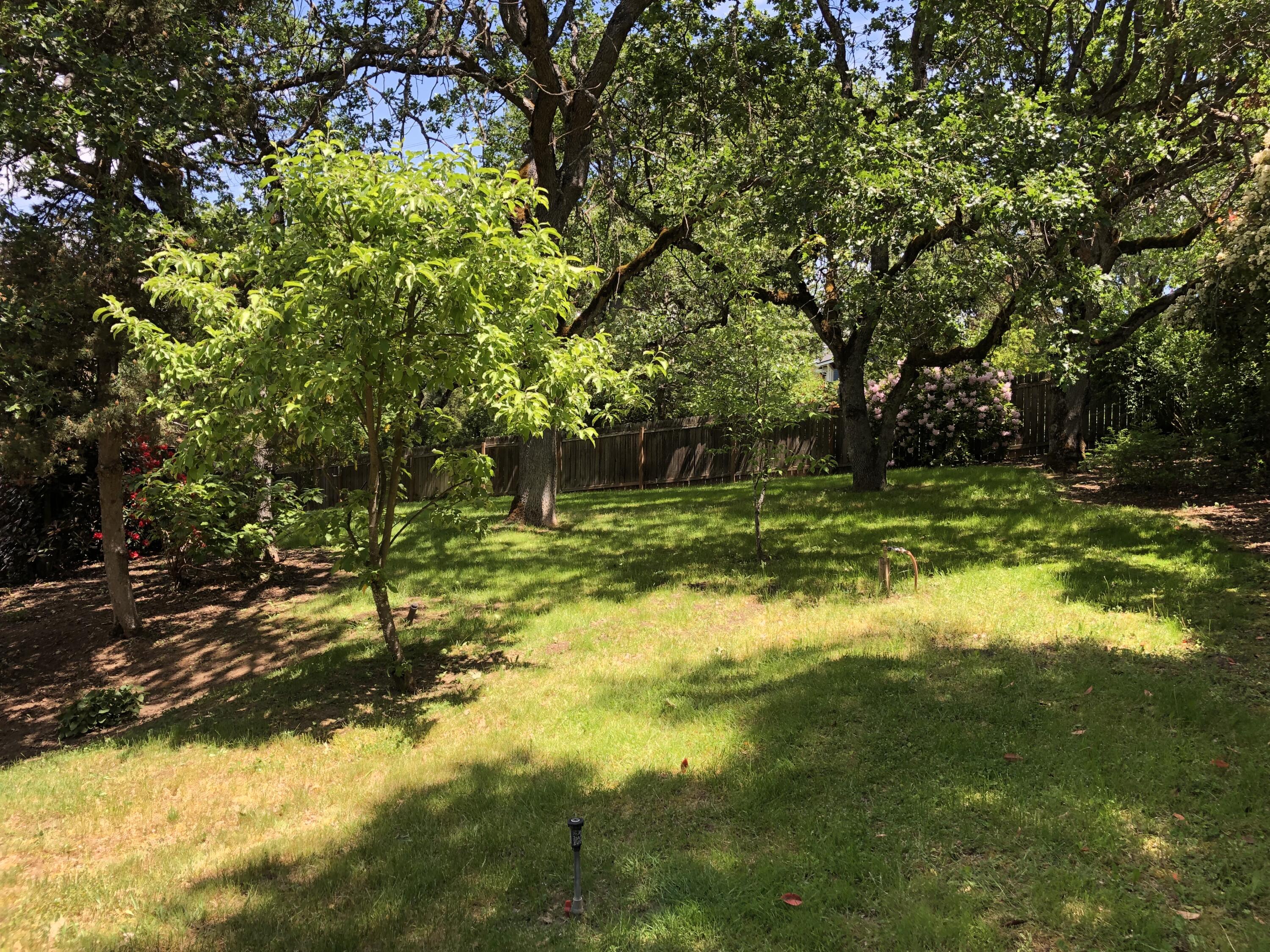 1600 Spring Street Medford, OR 97504 - Photo 41 of 55 Back yard w/ apple and cherry trees
