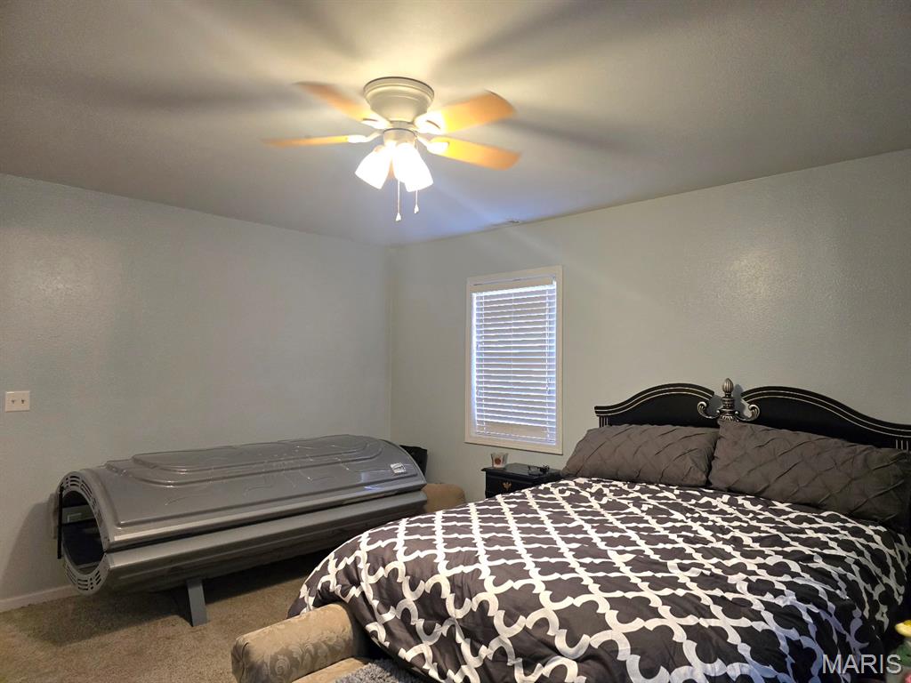 1306 Susan Street Dexter, MO 63841 - Photo 12 of 21