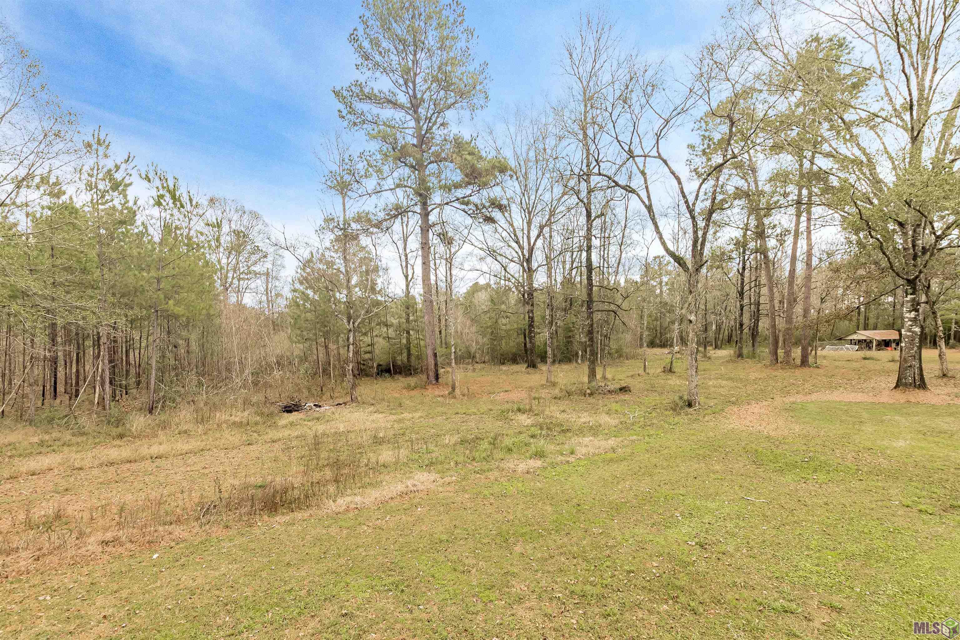 32438 Weiss Road Walker, LA 70785 - Photo 23 of 26