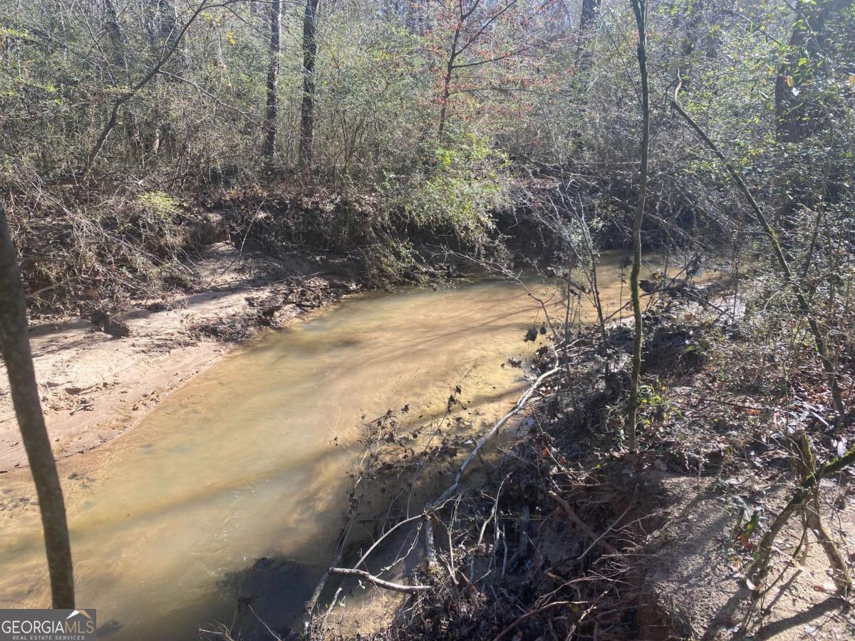 348 Kent Rock Road Loganville, GA 30052 - Photo 3 of 6 a view of a yard with a tree