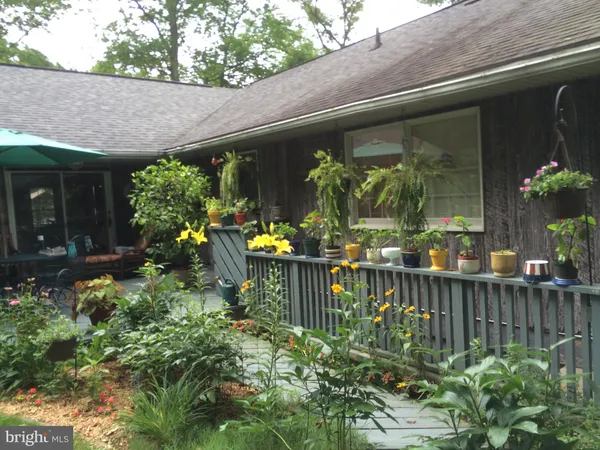 a view of a porch with a flower in a patio