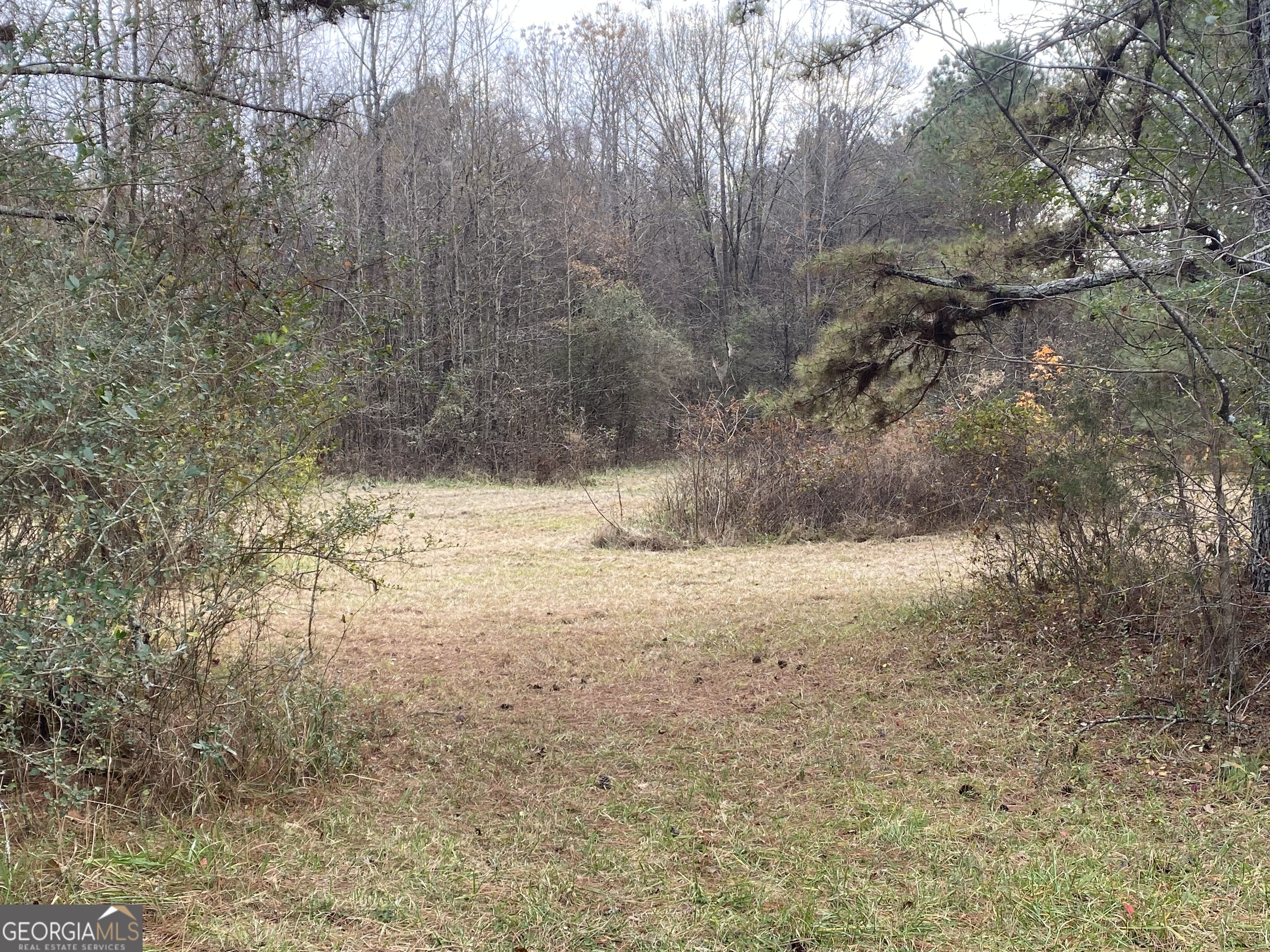 1470 Bramlett Road Greensboro, GA 30642 - Photo 11 of 21