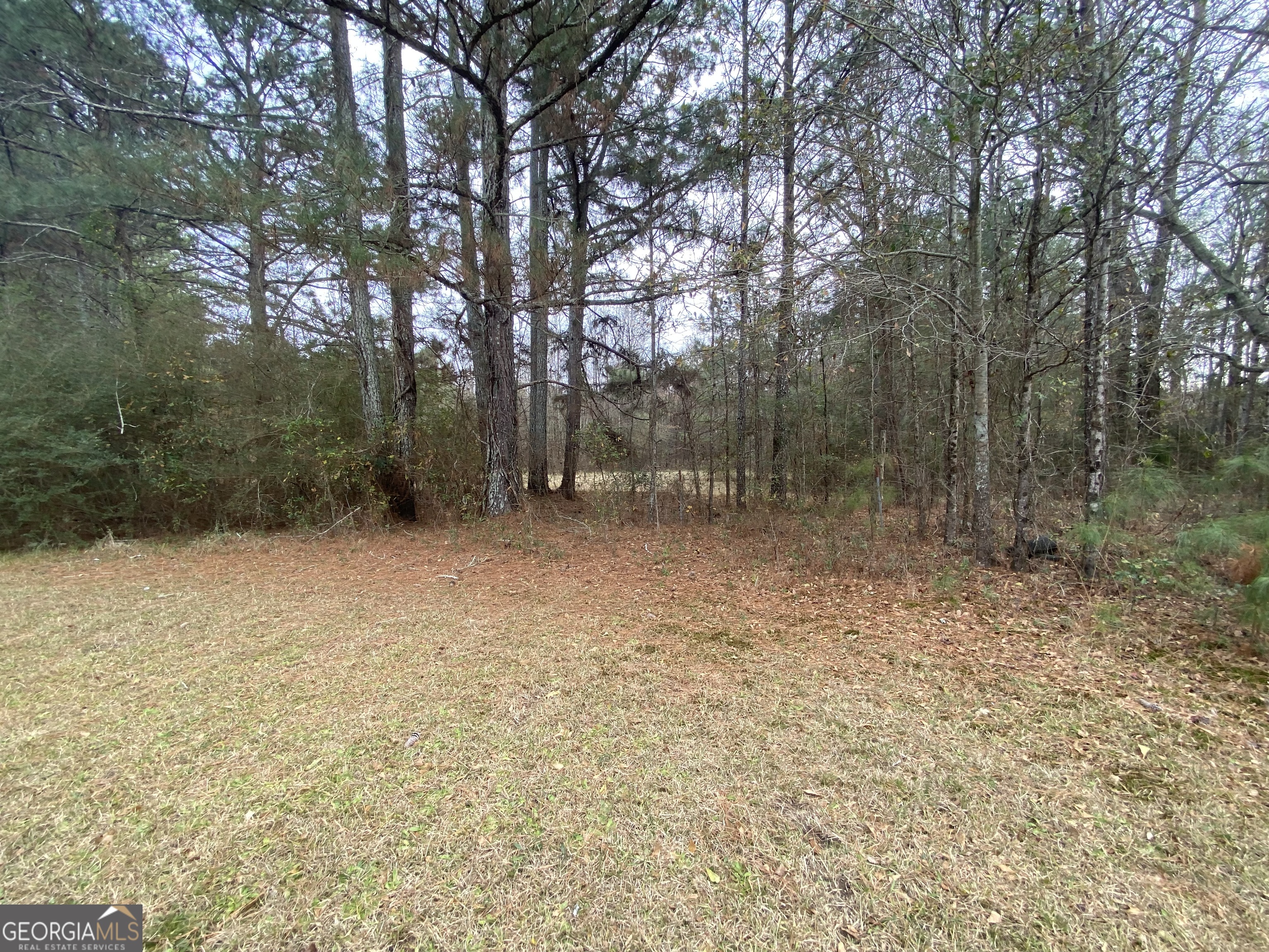 1470 Bramlett Road Greensboro, GA 30642 - Photo 12 of 21