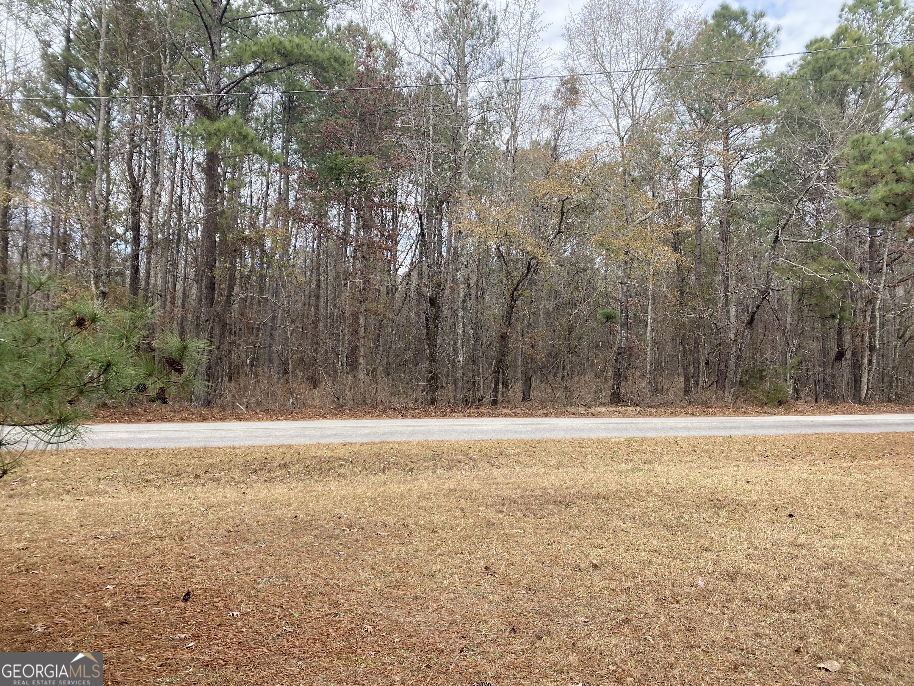 1470 Bramlett Road Greensboro, GA 30642 - Photo 19 of 21