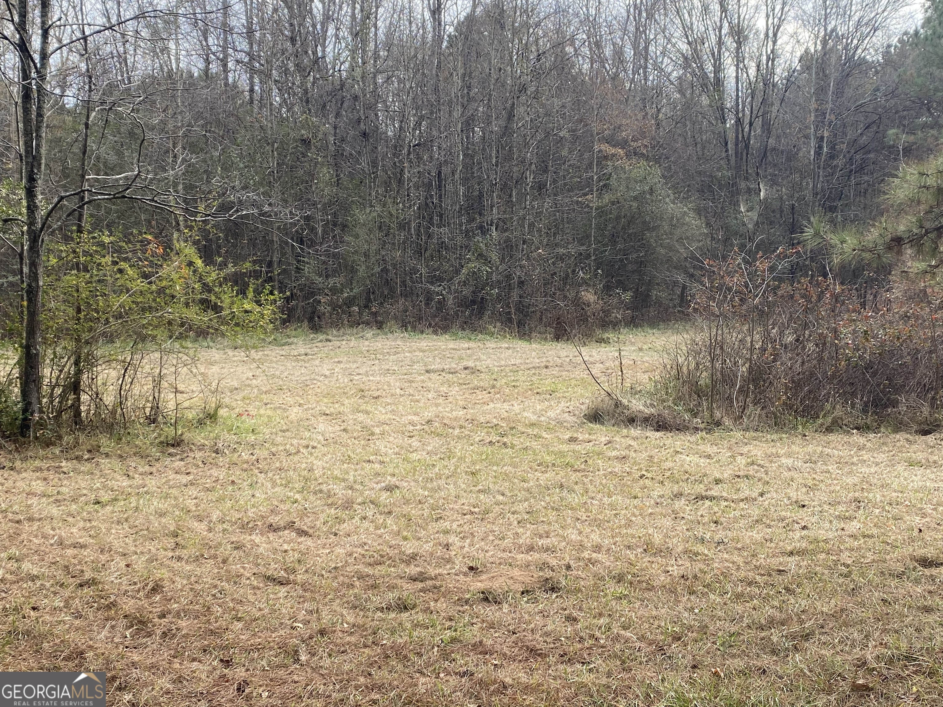 1470 Bramlett Road Greensboro, GA 30642 - Photo 6 of 21