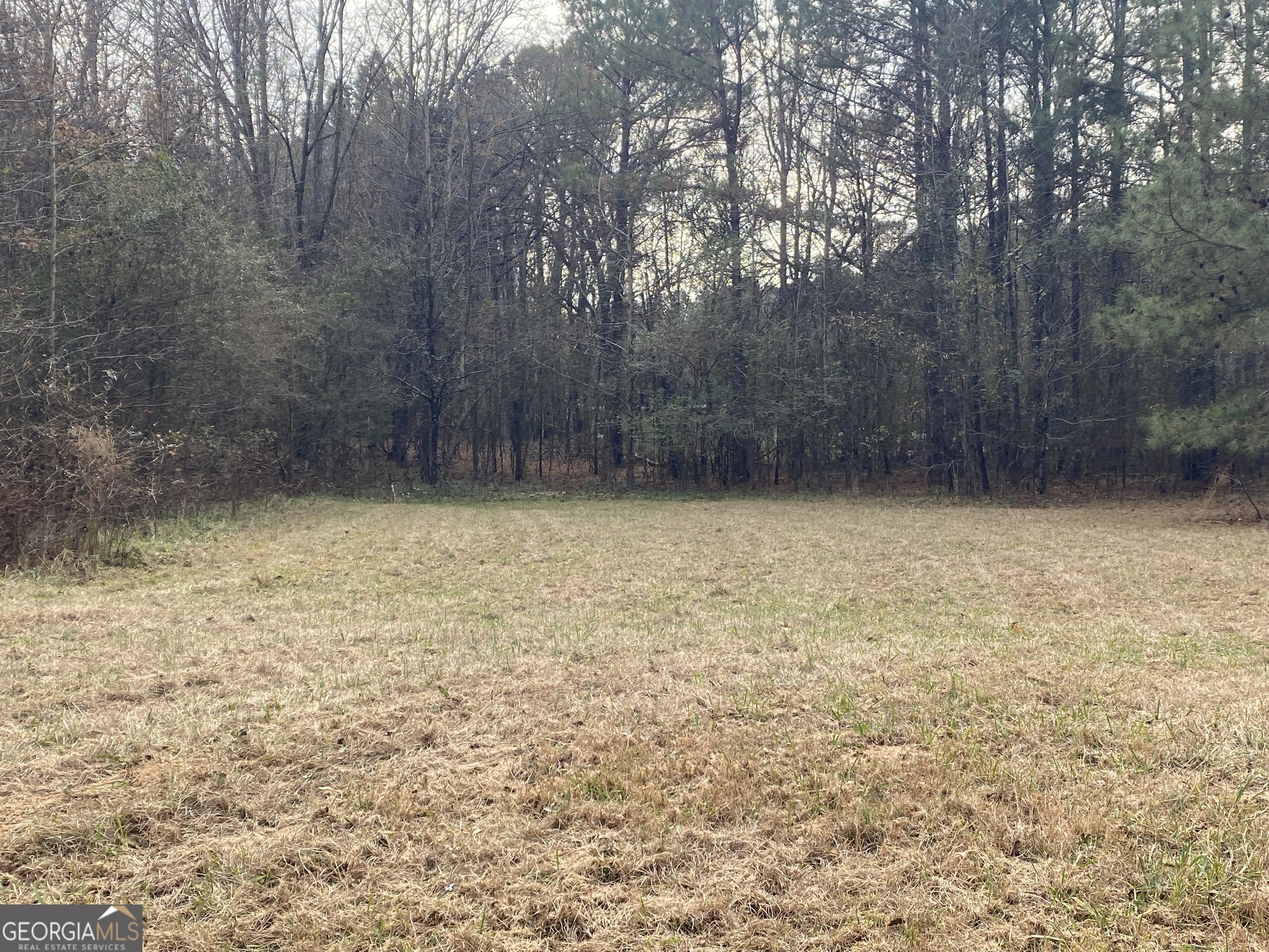 1470 Bramlett Road Greensboro, GA 30642 - Photo 7 of 21