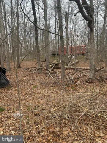 a view of a yard with some trees