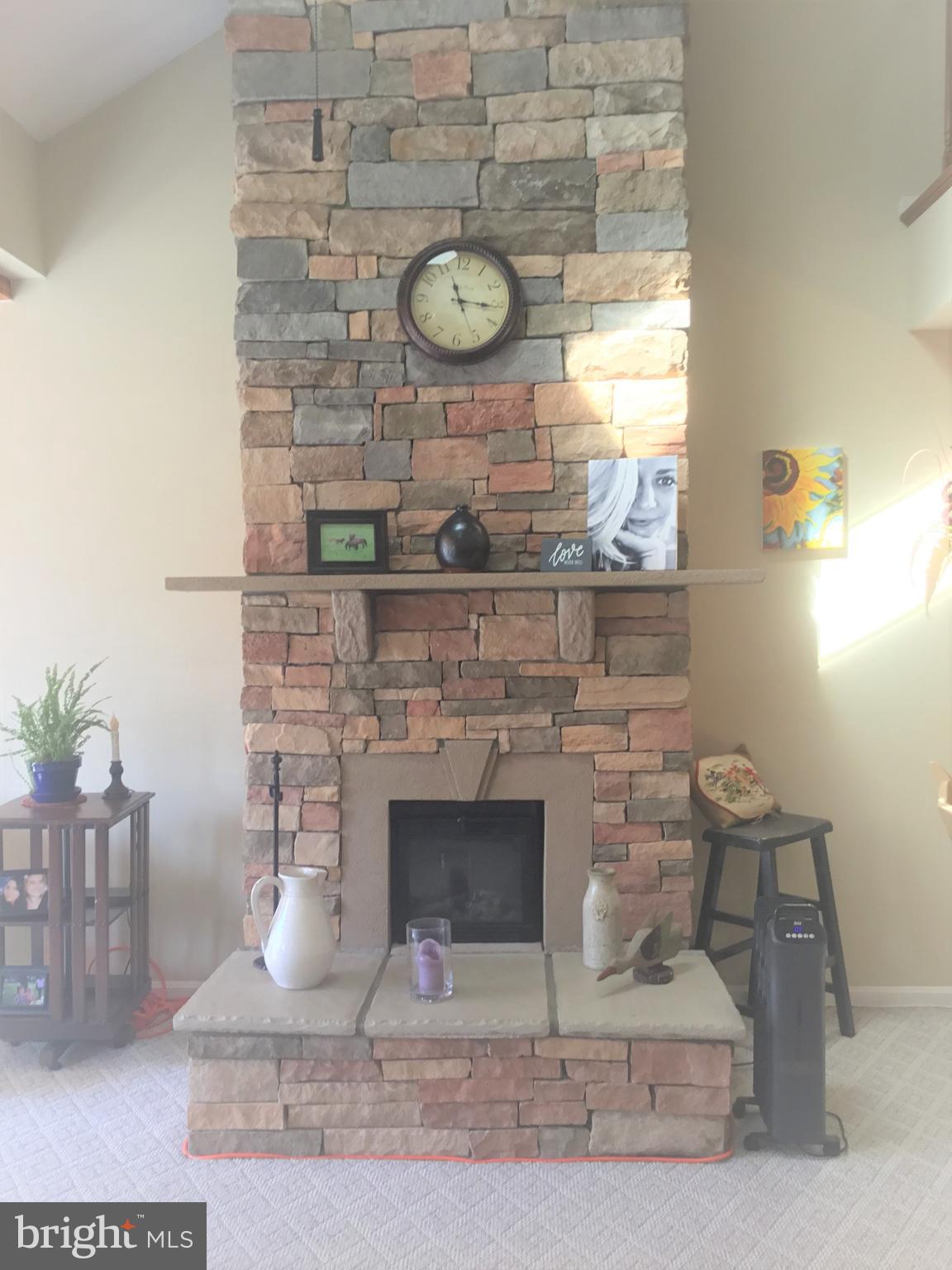 108 Pepperton Court Lititz, PA 17543 - Photo 10 of 27 Fireplace
