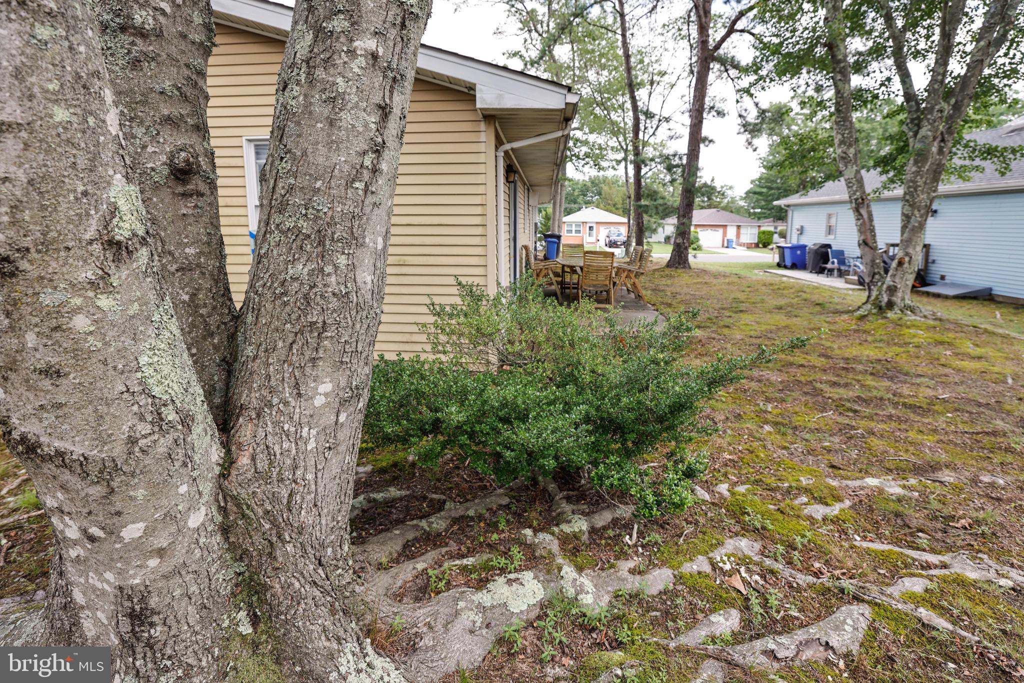 14 A Magnolia Road Manahawkin, NJ 08050 - Photo 22 of 22 Charming home nestled among lush greenery.