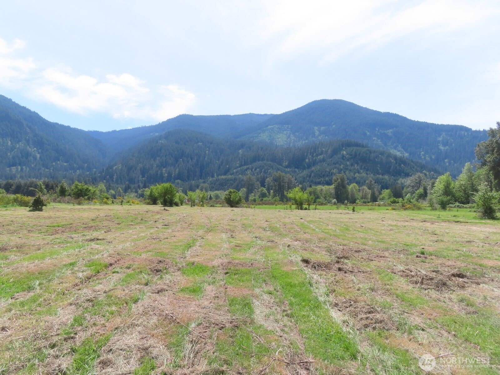 295 River Ranch Road Randle, WA 98377 - Photo 1 of 16