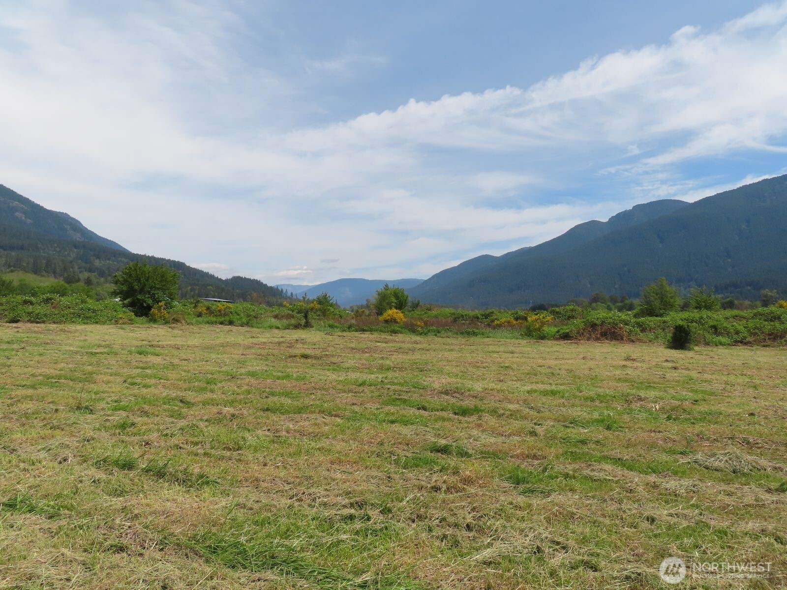 295 River Ranch Road Randle, WA 98377 - Photo 14 of 16