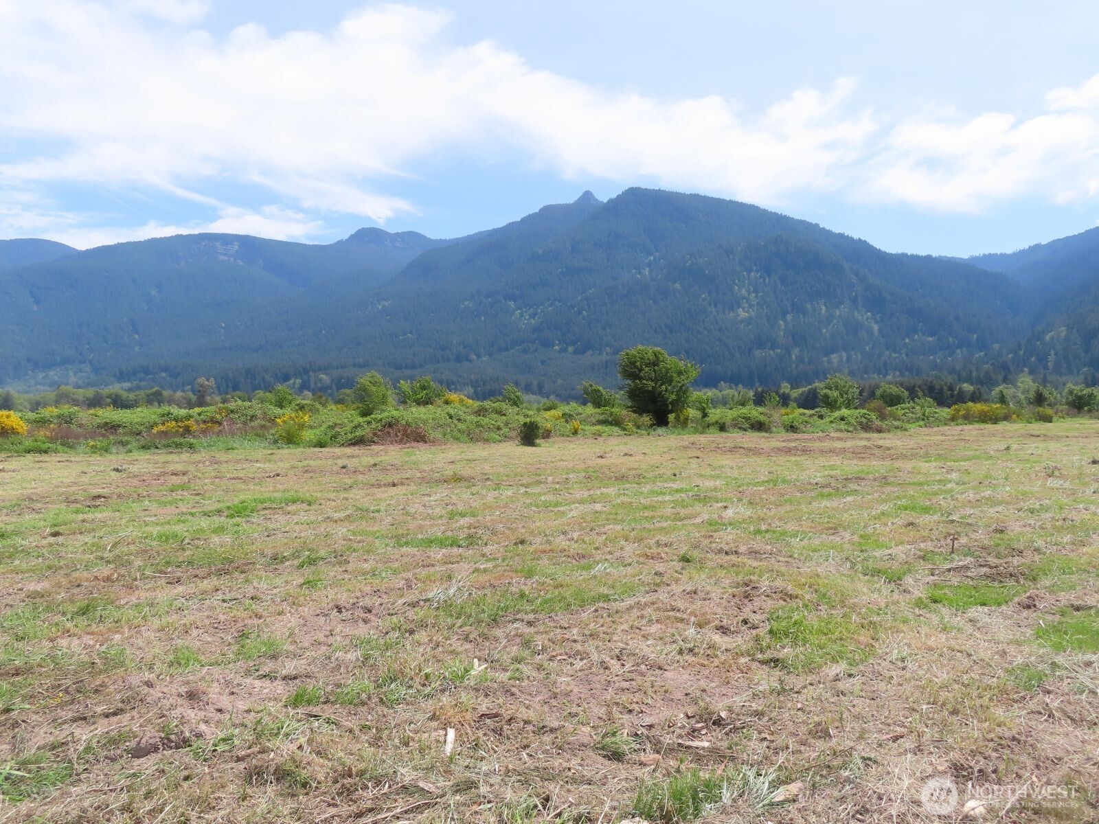 295 River Ranch Road Randle, WA 98377 - Photo 15 of 16