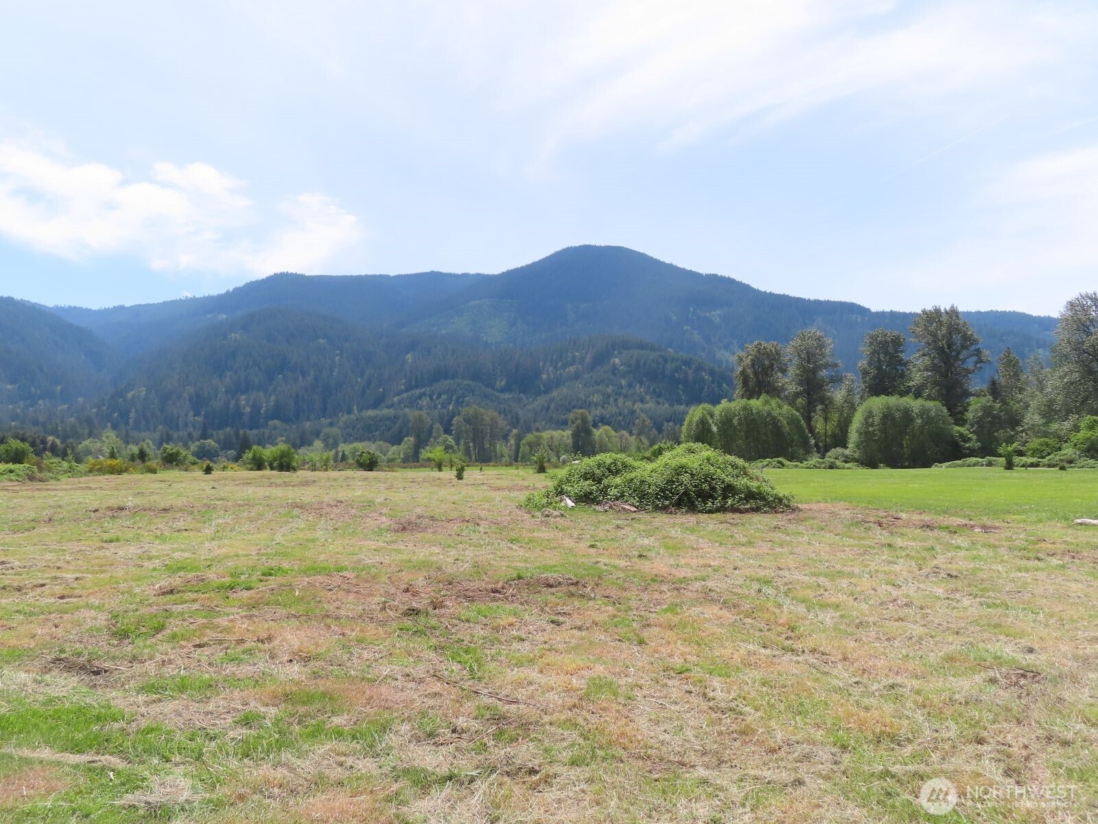 295 River Ranch Road Randle, WA 98377 - Photo 16 of 16