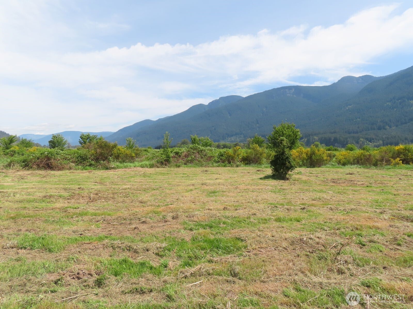 295 River Ranch Road Randle, WA 98377 - Photo 3 of 16