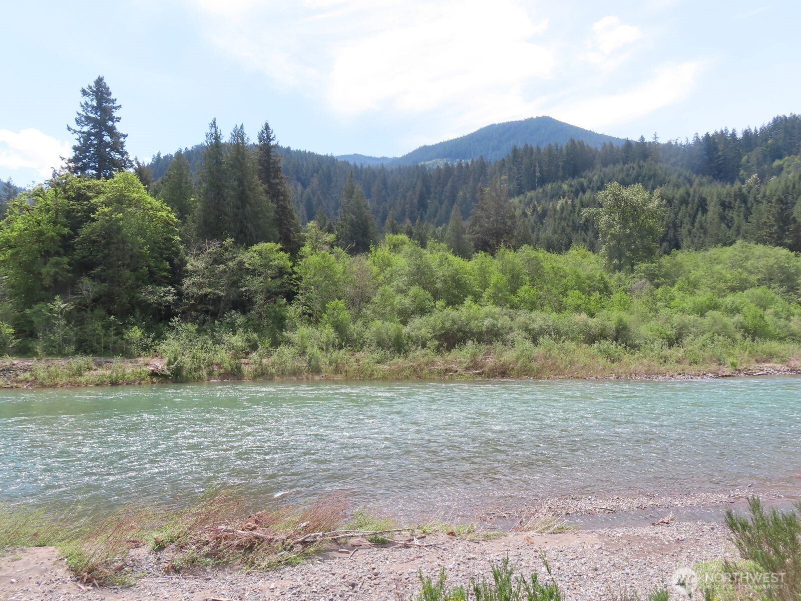 295 River Ranch Road Randle, WA 98377 - Photo 6 of 16