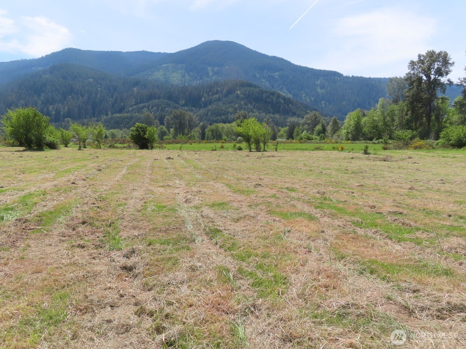 295 River Ranch Road Randle, WA 98377 - Photo 7 of 16