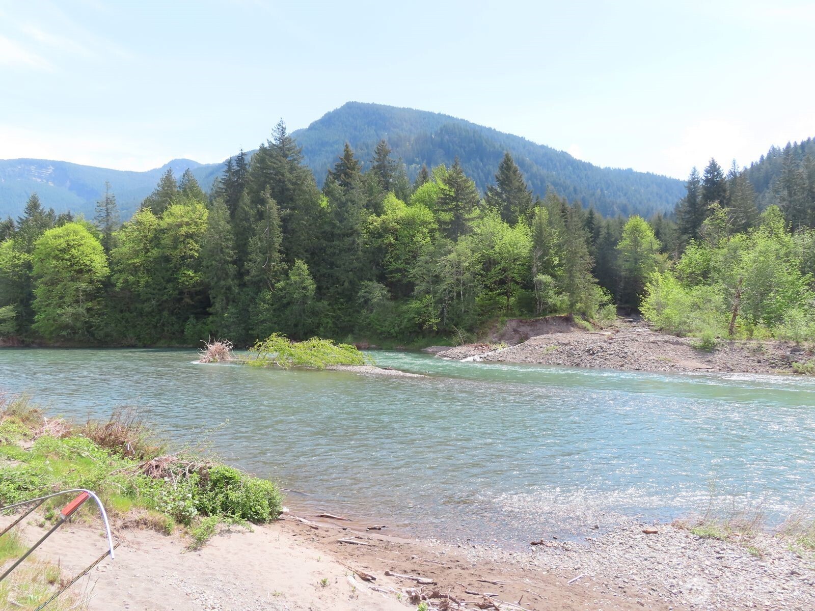 295 River Ranch Road Randle, WA 98377 - Photo 8 of 16