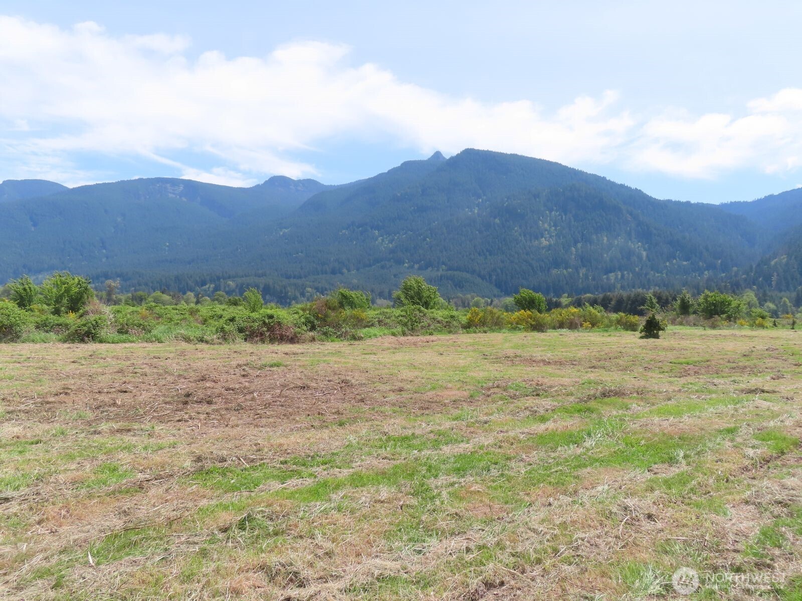295 River Ranch Road Randle, WA 98377 - Photo 9 of 16